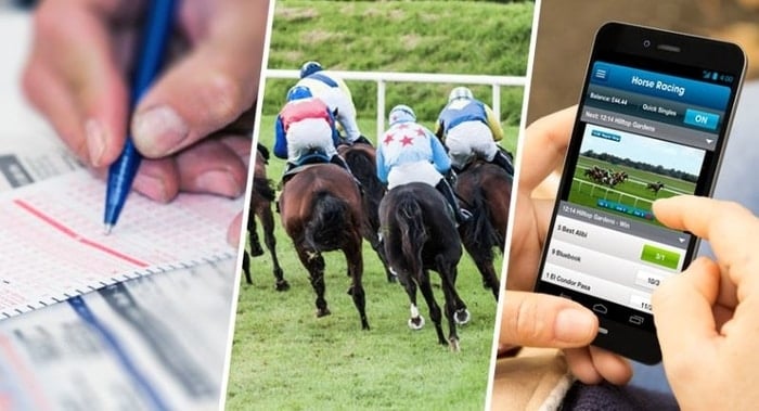 See All The New Sites For Horse Racing Bets